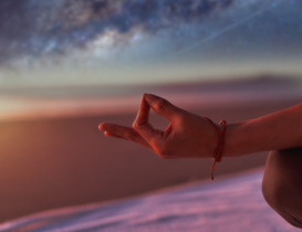 Jean Adrienne Arınma Sistemi